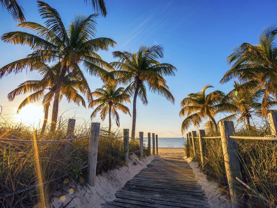 Vacation in South West Florida