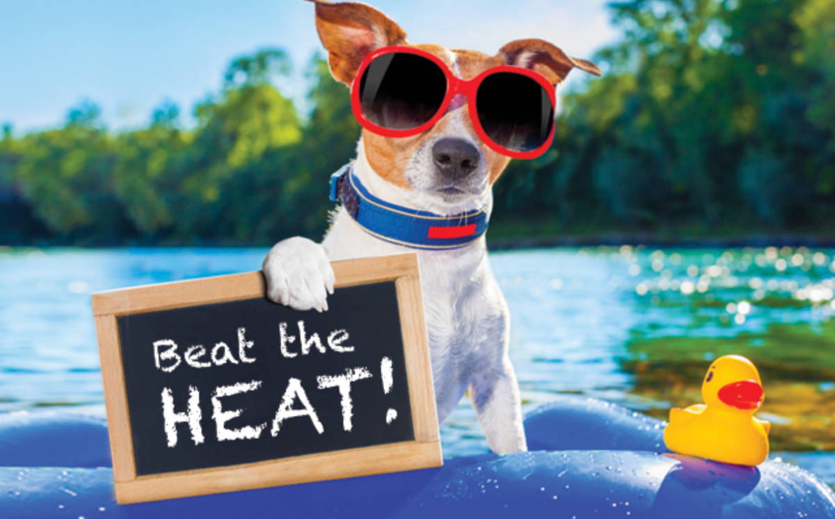 Beat the heat