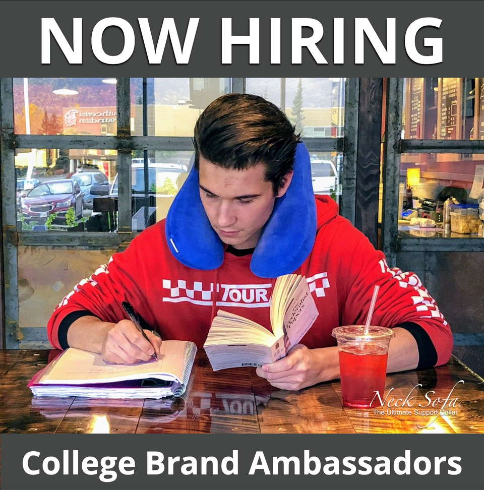College student studying in a cafe while his blue Neck Sofa pillow as a study pilllow.