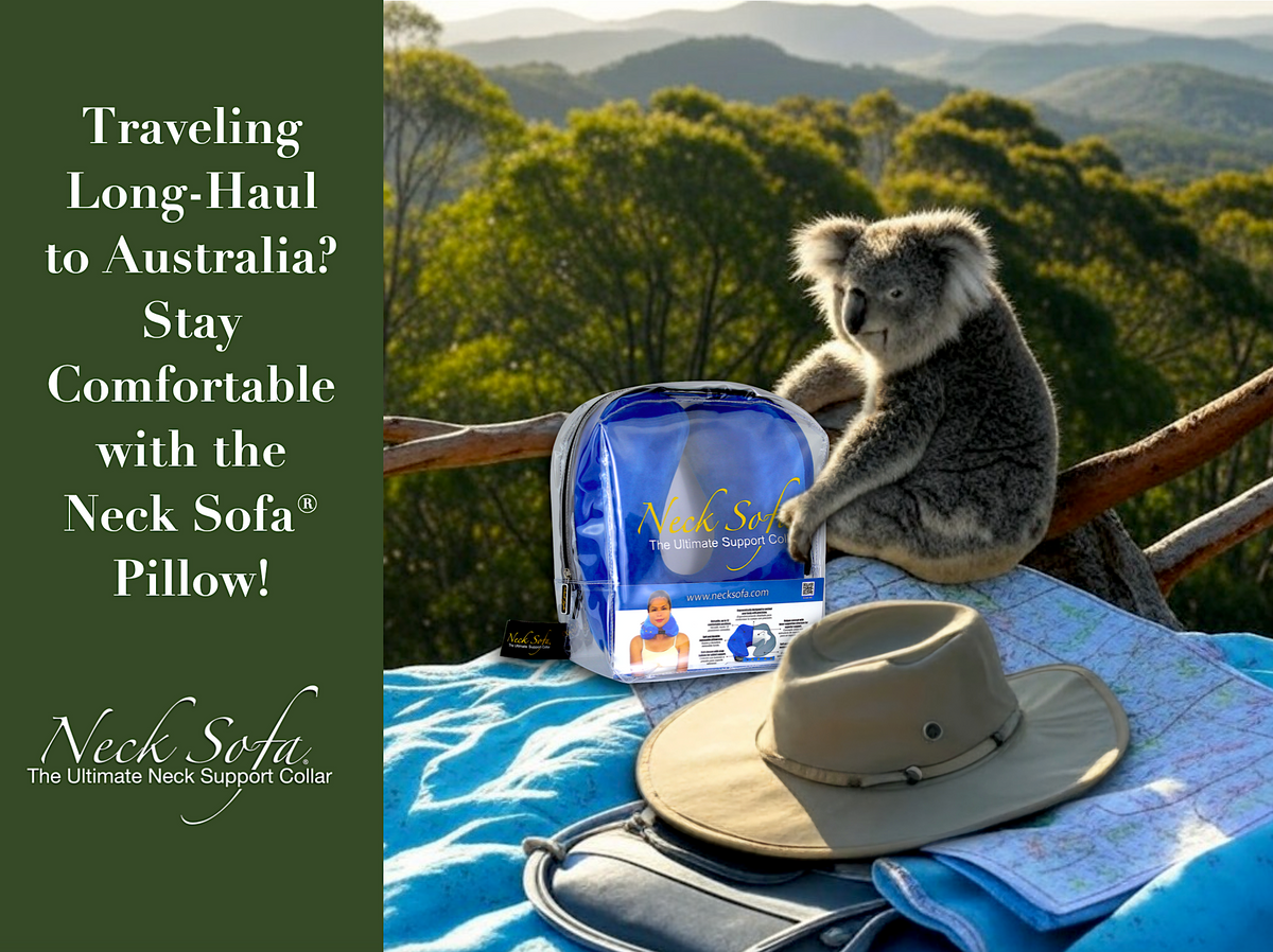 A Koala holding a Blue Neck Sofa Pillow in the clear carry bag in the mountains of Australia